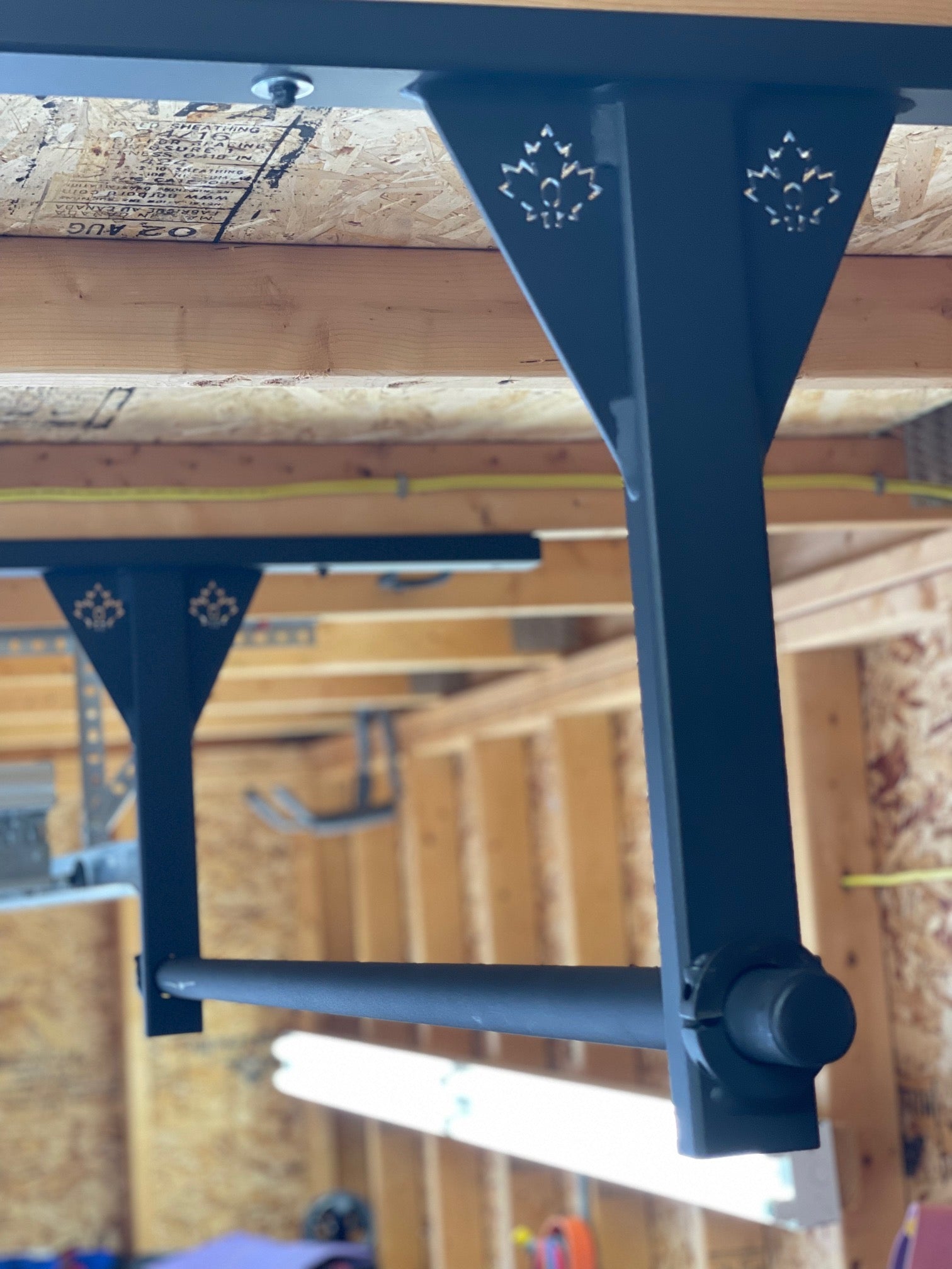 Ceiling pull up bar canada sale