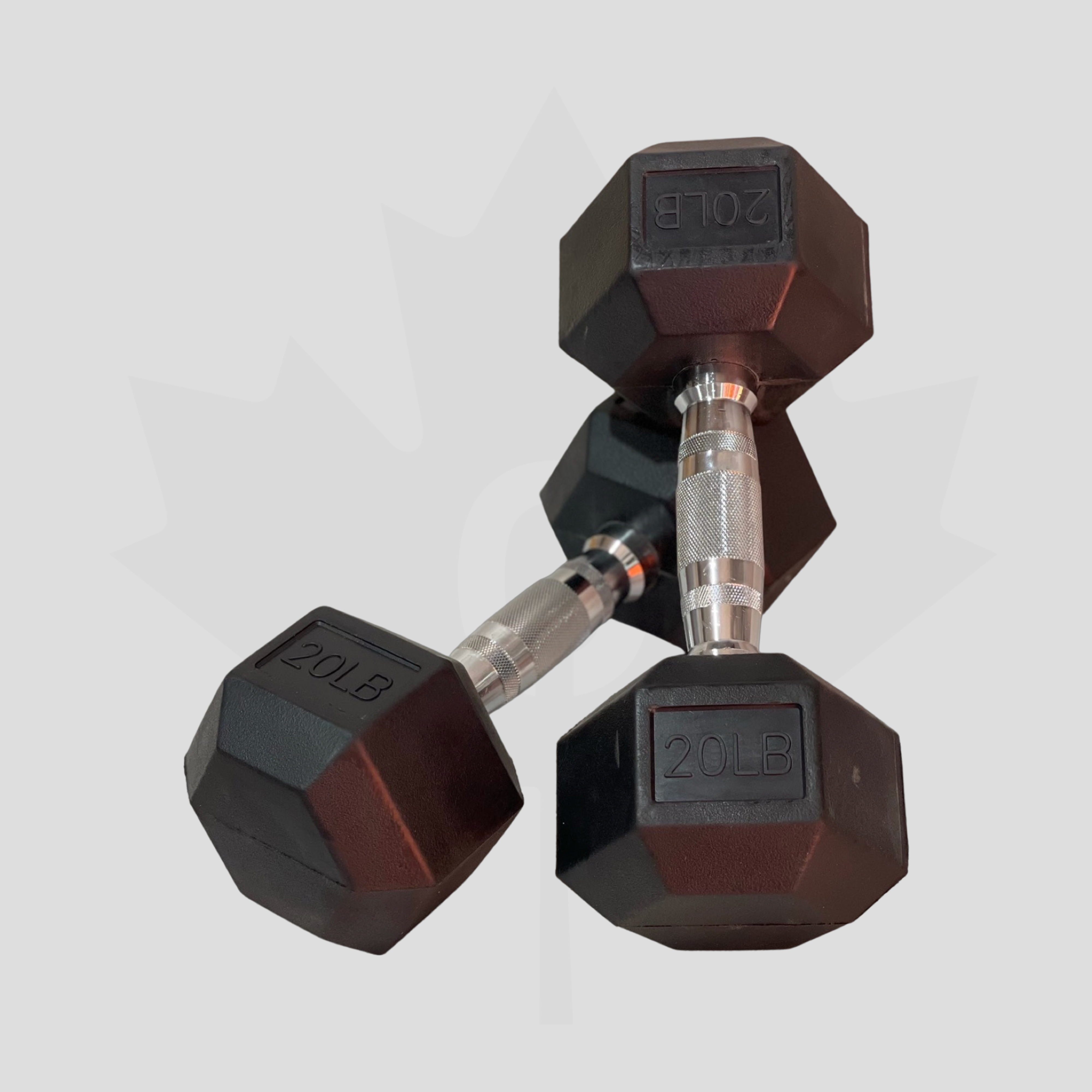 Rogue 20 lb discount dumbbells